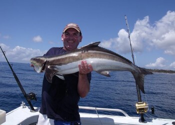 REPORT: The Salt & the Sweet